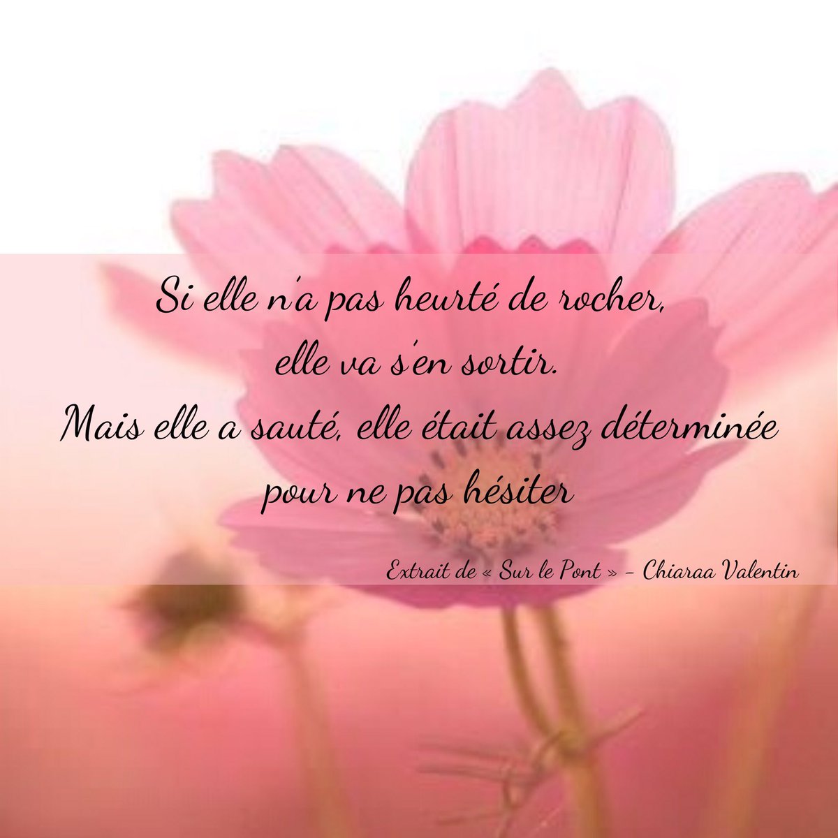 ChiaraaValentin's tweet photo. Extrait « sur le pont » https://t.co/6avhqeNTIK
