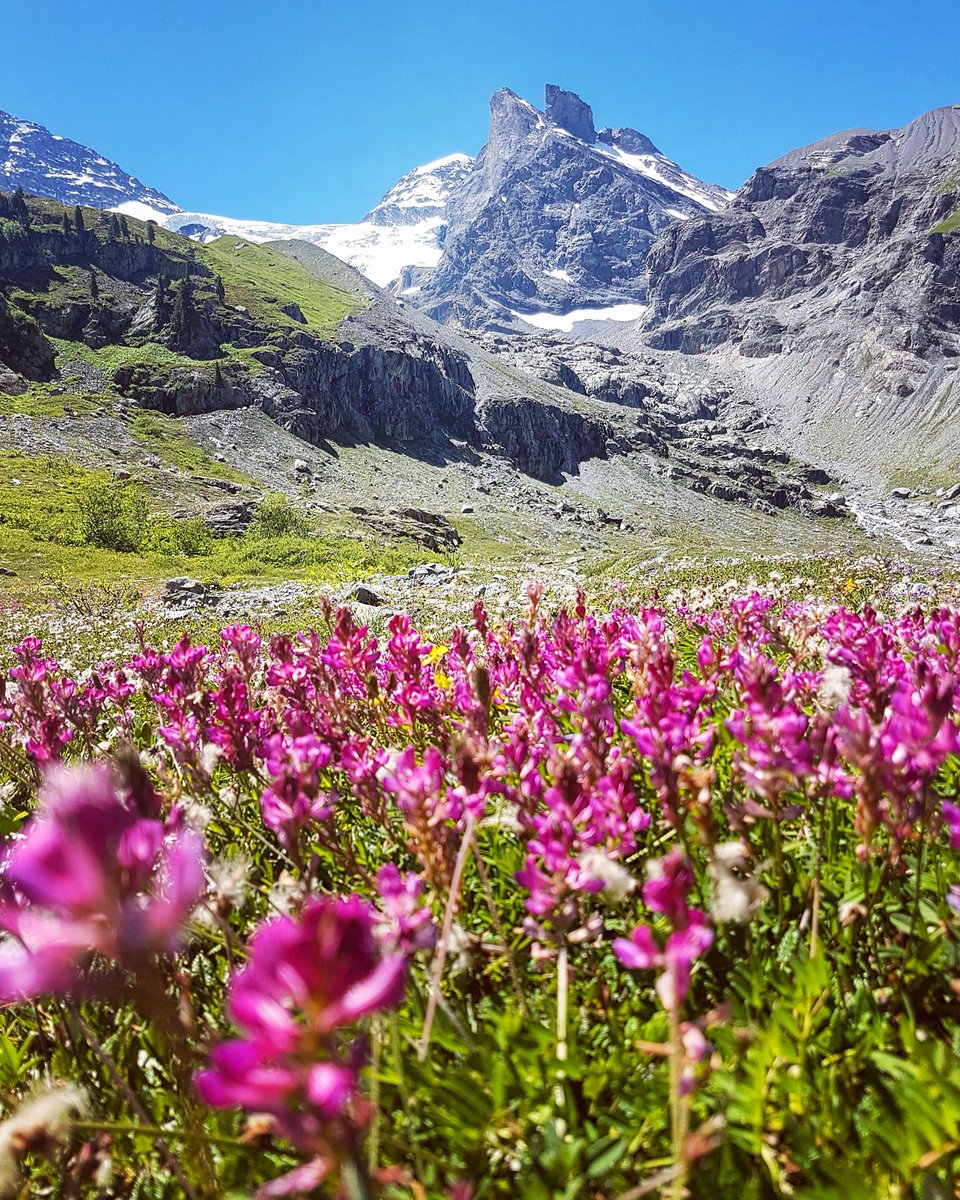 War das schön! 
#stechelberg #jungfrauregion <a href="/JungfrauRegion/">Jungfrau Region</a>