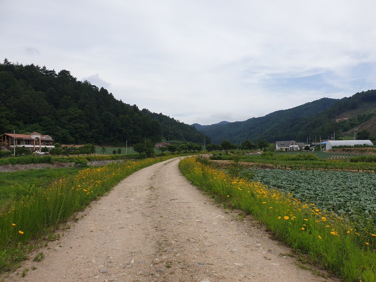 연  하 니 tweet media