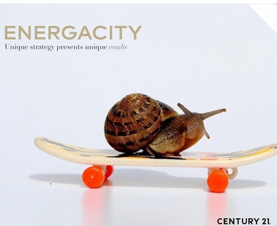 Century21Leeds's tweet photo. ENERGY + TENACITY = ENERGACITY

Strategy is about making choices,  trade-offs, its about deliberately choosing to be different. 

Would you like your house valued and hear more about our strategy to sell you house?

Call 0113 426 0590

#century21leeds #valuation #strategy https://t.co/wcDll5e33J