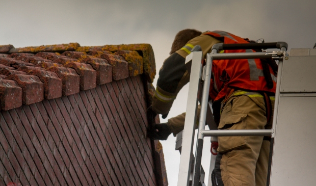 Zwaluw in Heukelum gered door brandweer - ..