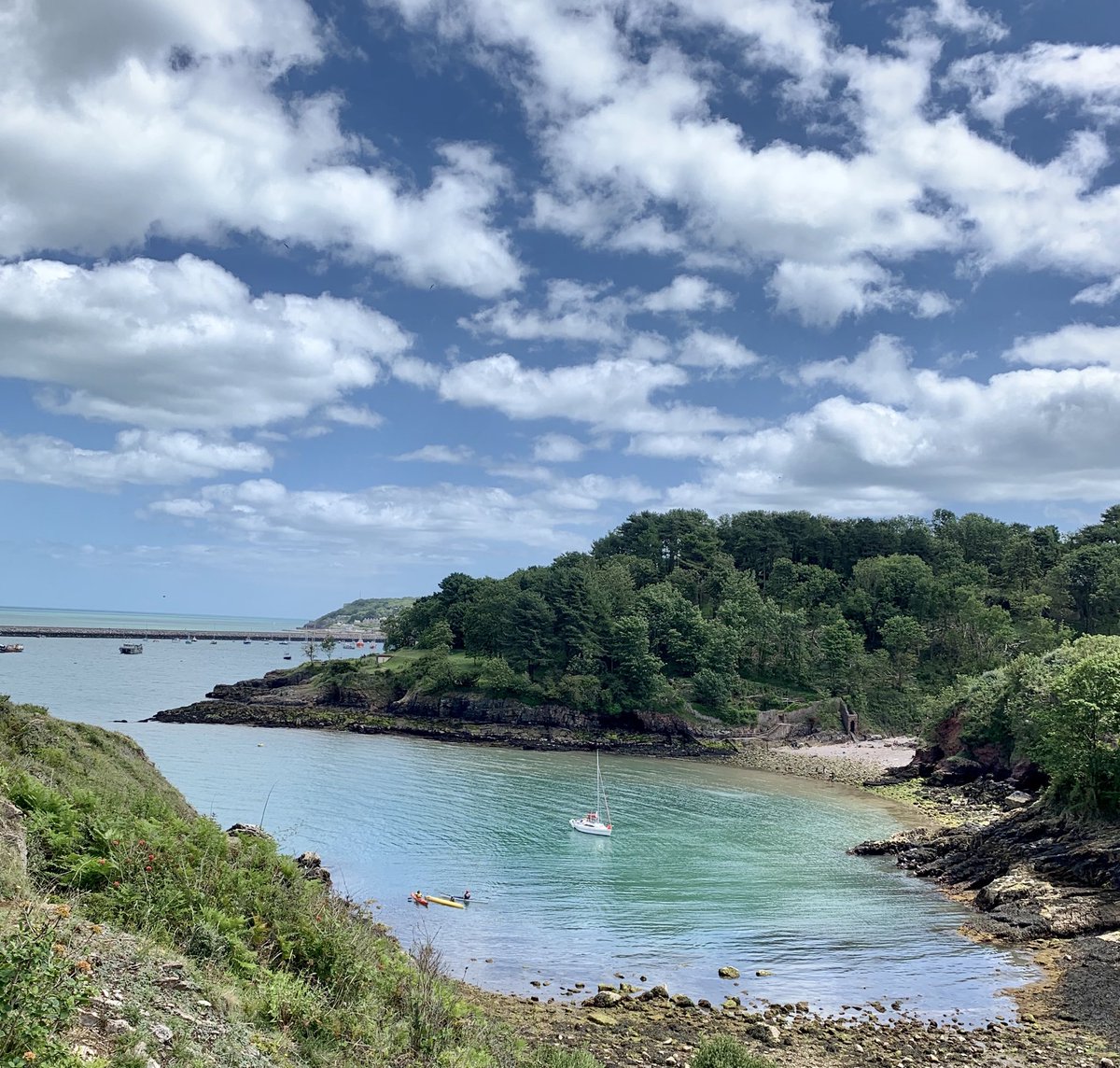 Webbers12's tweet image. Lovely weekend away in Brixham, Devon. Stunning place ☀️🚶‍♀️