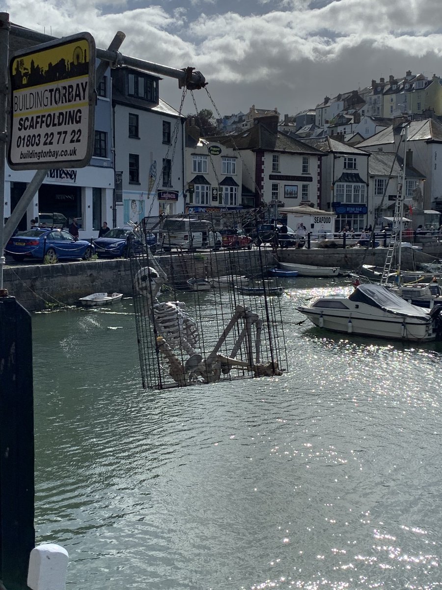 Webbers12's tweet image. Lovely weekend away in Brixham, Devon. Stunning place ☀️🚶‍♀️