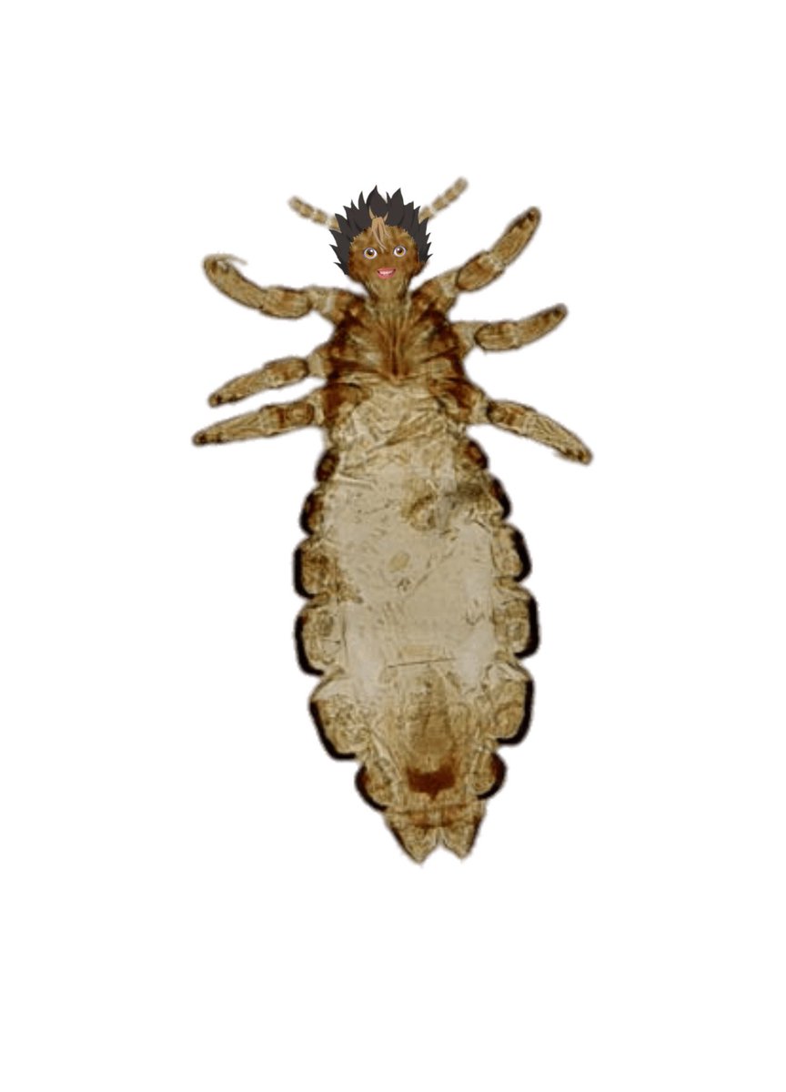 𝗄𝗎𝗍𝗈𝗇𝗈𝗒𝖺 𝗒𝗎𝗎