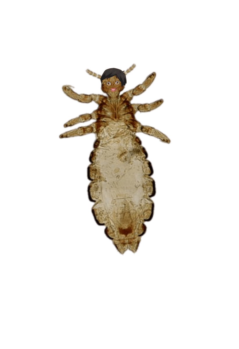 𝗄𝗎𝗍𝗈𝗌𝗁𝗂𝗍𝖺 𝖼𝗁𝗂𝗄𝖺𝗋𝖺