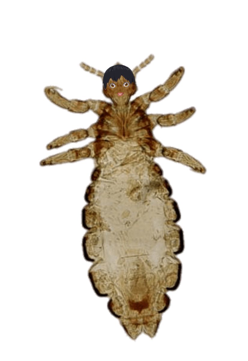 𝗄𝗎𝗍𝗈𝗒𝖺𝗆𝖺 𝗍𝗈𝖻𝗂𝗈