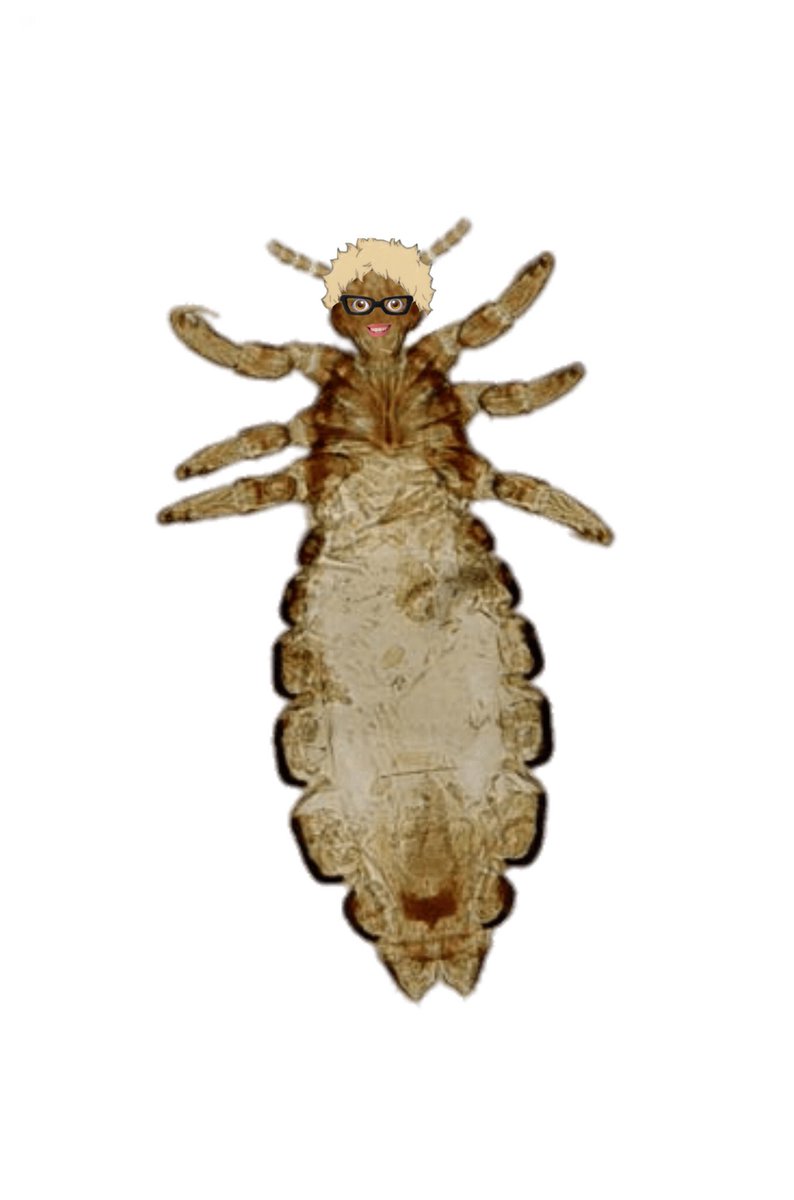 𝗄𝗎𝗍𝗈𝗌𝗁𝗂𝗆𝖺 𝗄𝖾𝗂