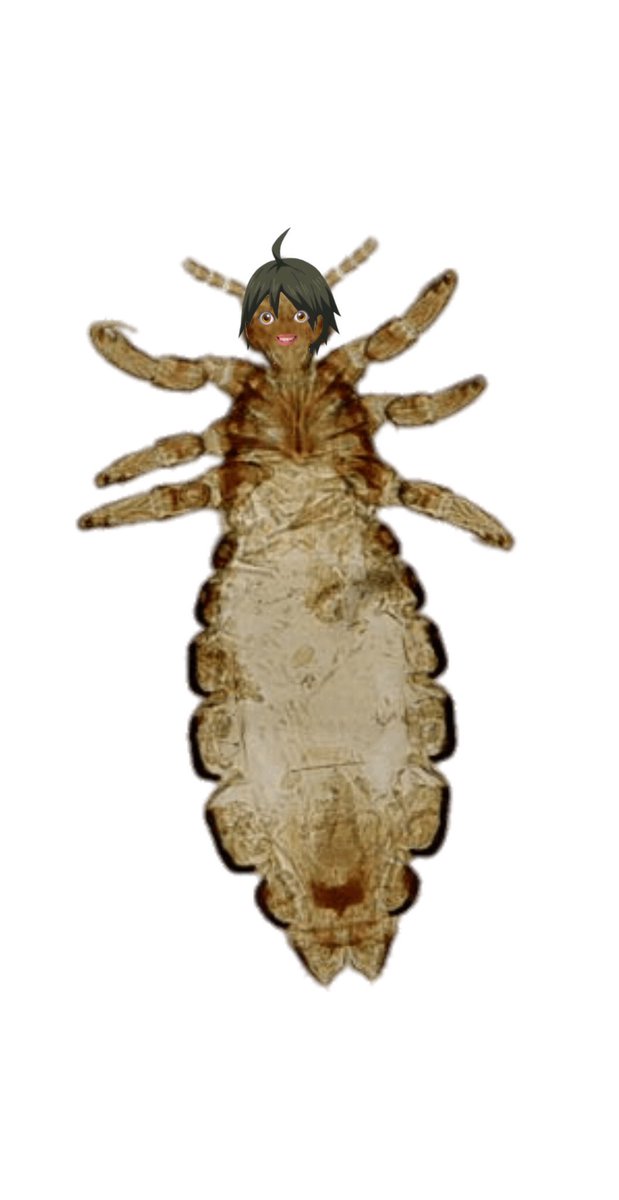 𝗒𝖺𝗆𝖺𝗀𝗎𝖼𝗁𝗂 𝗄𝗎𝗍𝗈𝗌𝗁𝗂