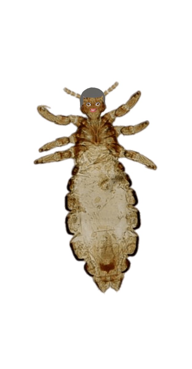 𝗍𝖺𝗇𝖺𝗄𝖺 𝗄𝗎𝗍𝗈𝗇𝗈𝗌𝗄𝖾