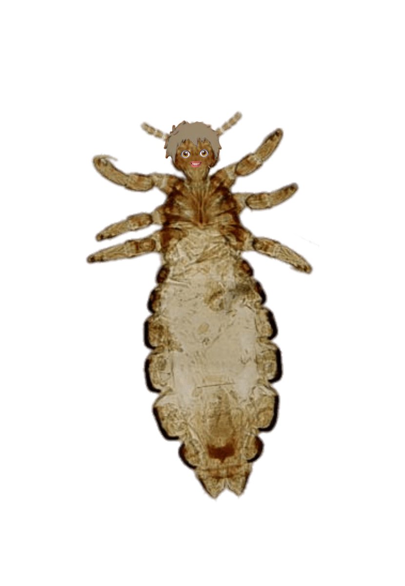 𝗄𝗂𝗇𝗈𝗌𝗁𝗂𝗍𝖺 𝗄𝗎𝗍𝗈𝗌𝗁𝗂