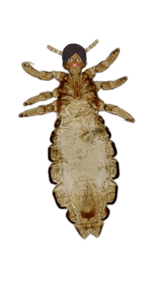 𝗄𝗎𝗍𝗈𝗆𝗂 𝖺𝗄𝗂𝗋𝖺