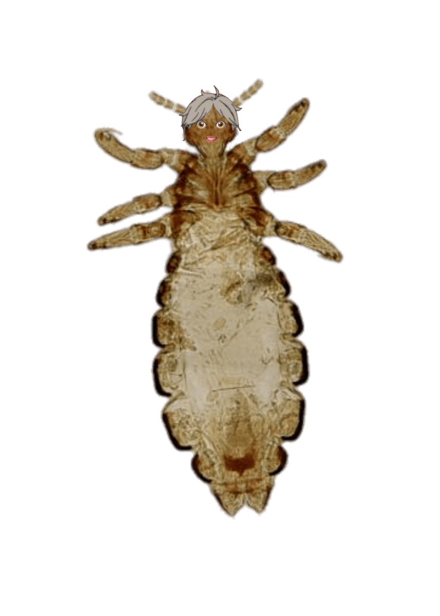 𝗄𝗎𝗍𝗈𝗐𝖺𝗋𝖺 𝗄𝗈𝗎𝗌𝗁𝗂