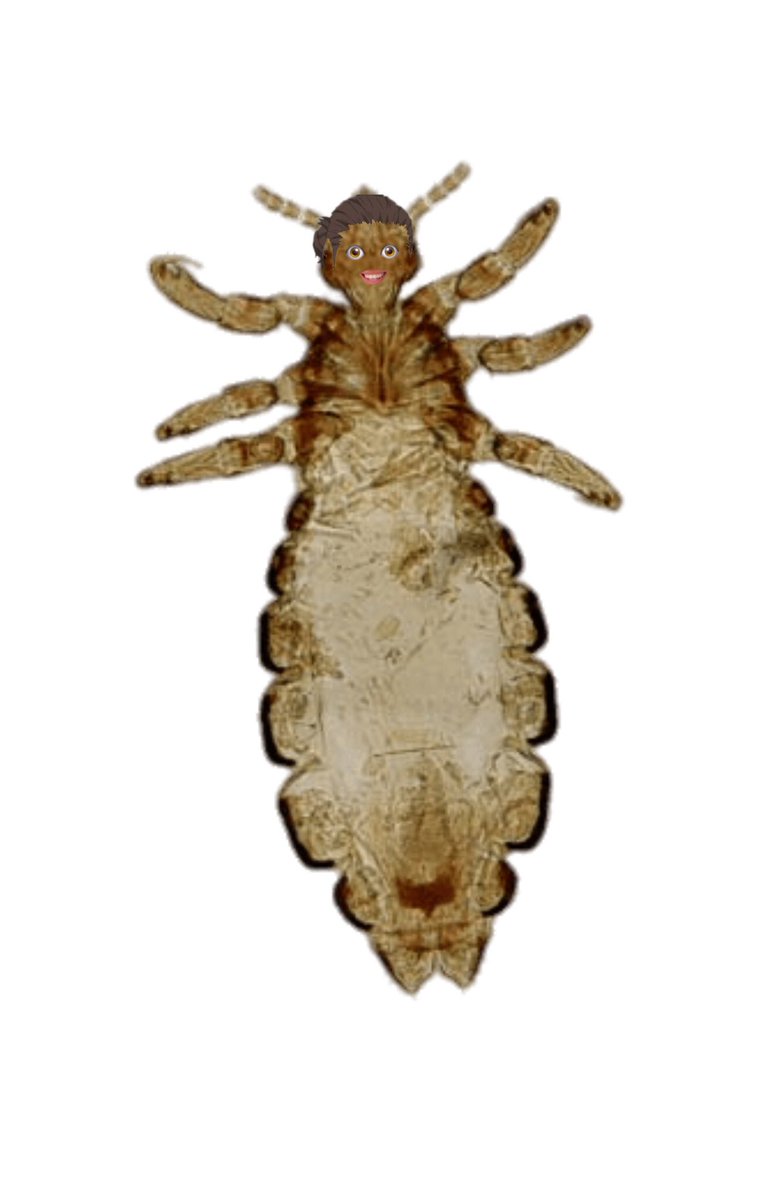 𝗄𝗎𝗍𝗈𝗆𝖺𝗇𝖾 𝖺𝗌𝖺𝗁𝗂