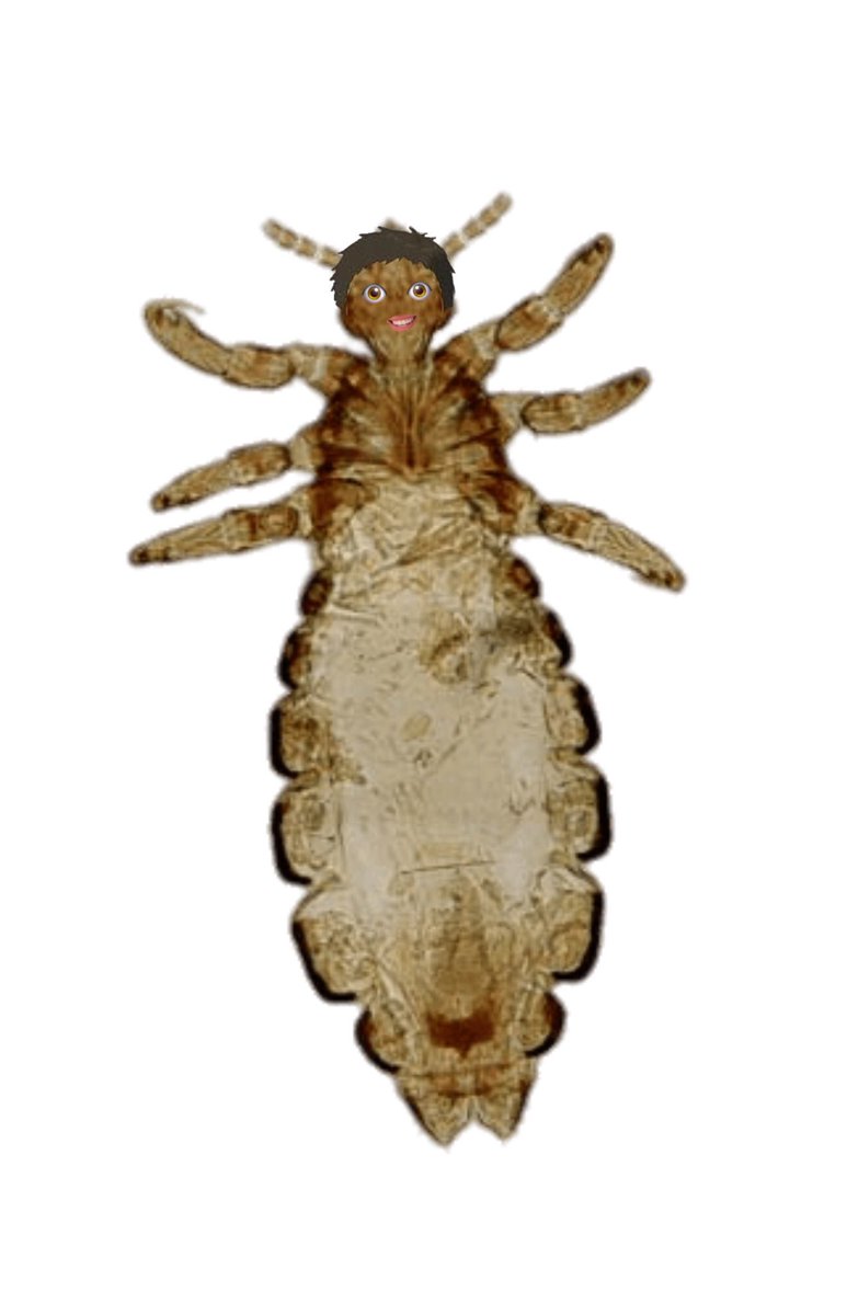 𝗄𝗎𝗍𝗈𝗆𝗎𝗋𝖺 𝖽𝖺𝗂𝖼𝗁𝗂