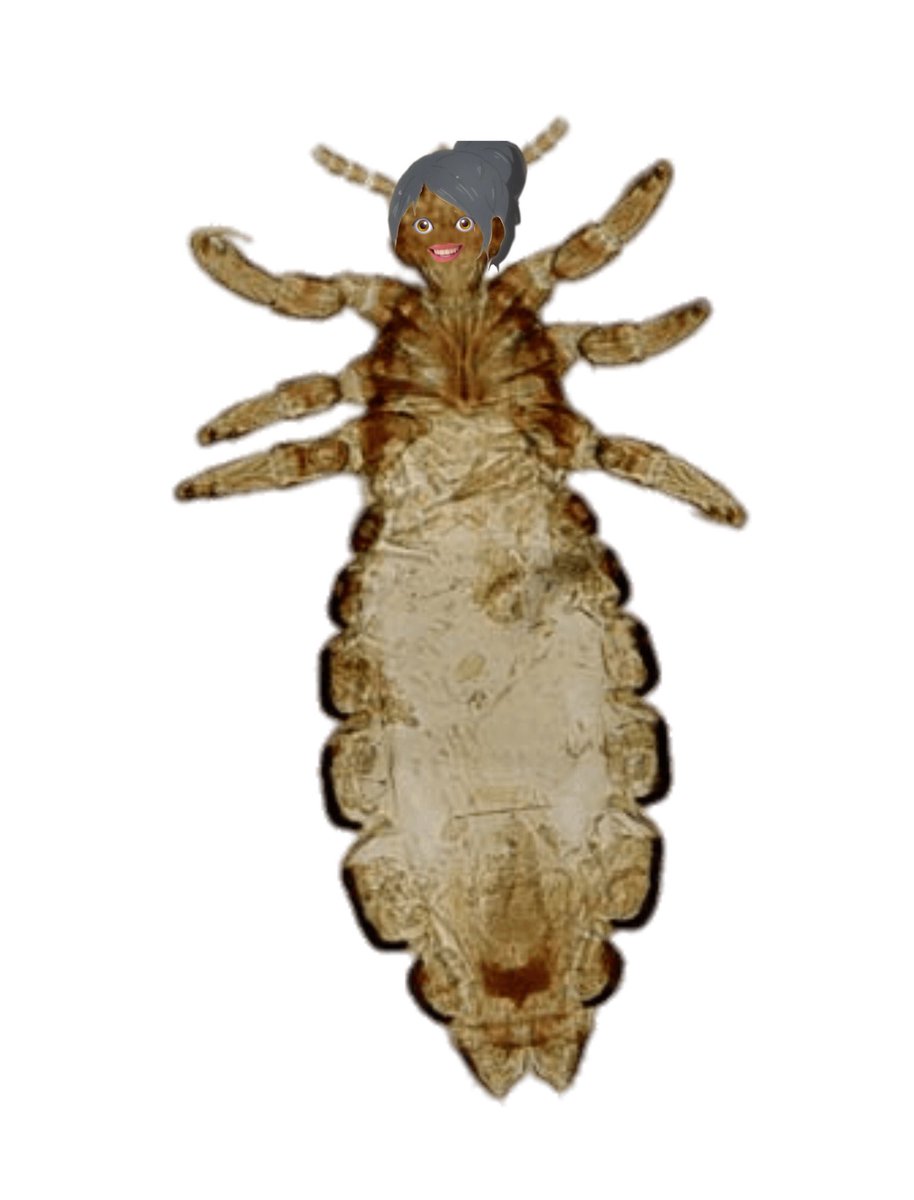 𝗄𝗎𝗍𝗈𝗒𝗈𝗄𝗈 𝗌𝗁𝗂𝗆𝗂𝗓𝗎