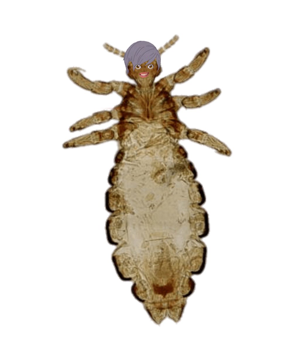 𝗄𝗎𝗍𝗈 𝗁𝖺𝗂𝖻𝖺