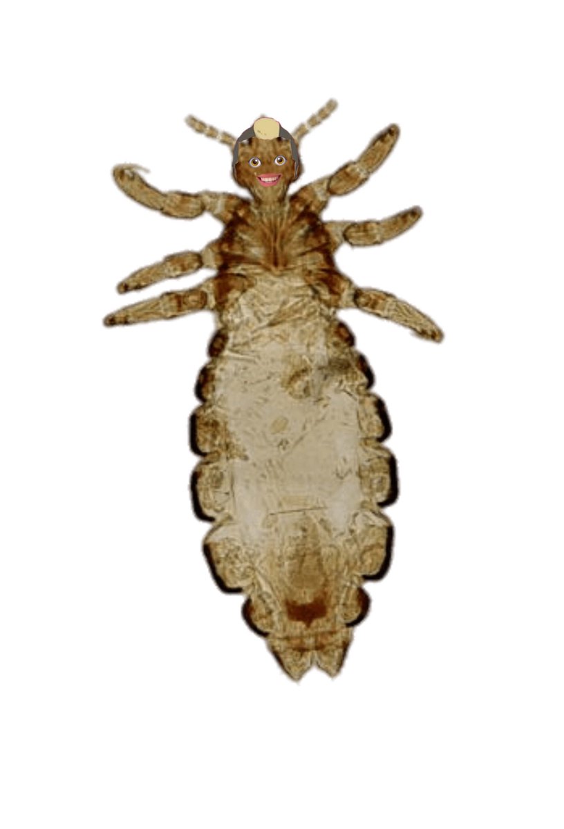 𝗄𝗎𝗍𝗈𝗆𝗈𝗍𝗈 𝗍𝖺𝗄𝖾𝗍𝗈𝗋𝖺