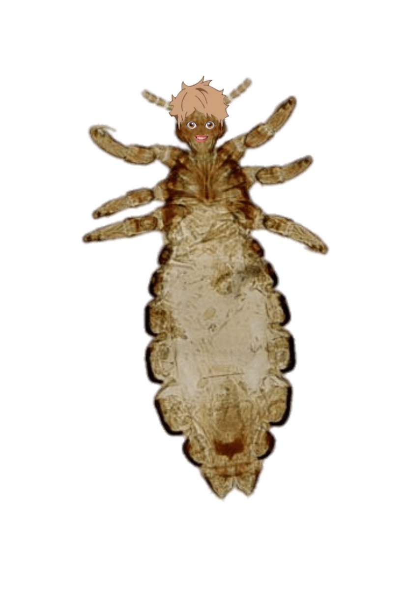 𝗄𝗎𝗍𝗈 𝗆𝗈𝗋𝗂𝗌𝗎𝗄𝖾