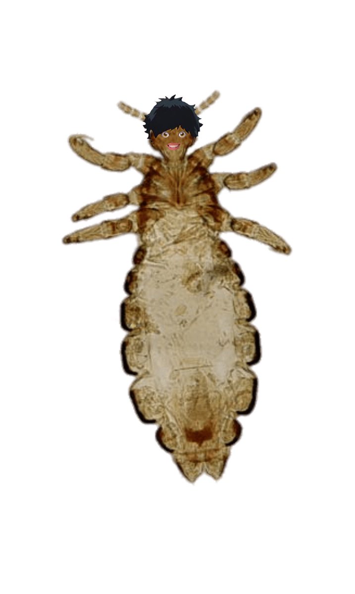 𝗄𝗎𝗍𝗈𝗌𝗁𝗂 𝗄𝖾𝗂𝗃𝗂