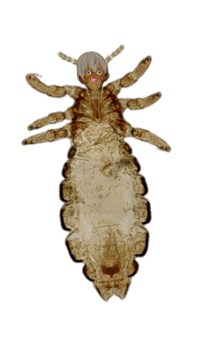 𝖺𝗄𝗂𝗇𝗈𝗋𝗂 𝗄𝗎𝗍𝗈𝗁𝖺