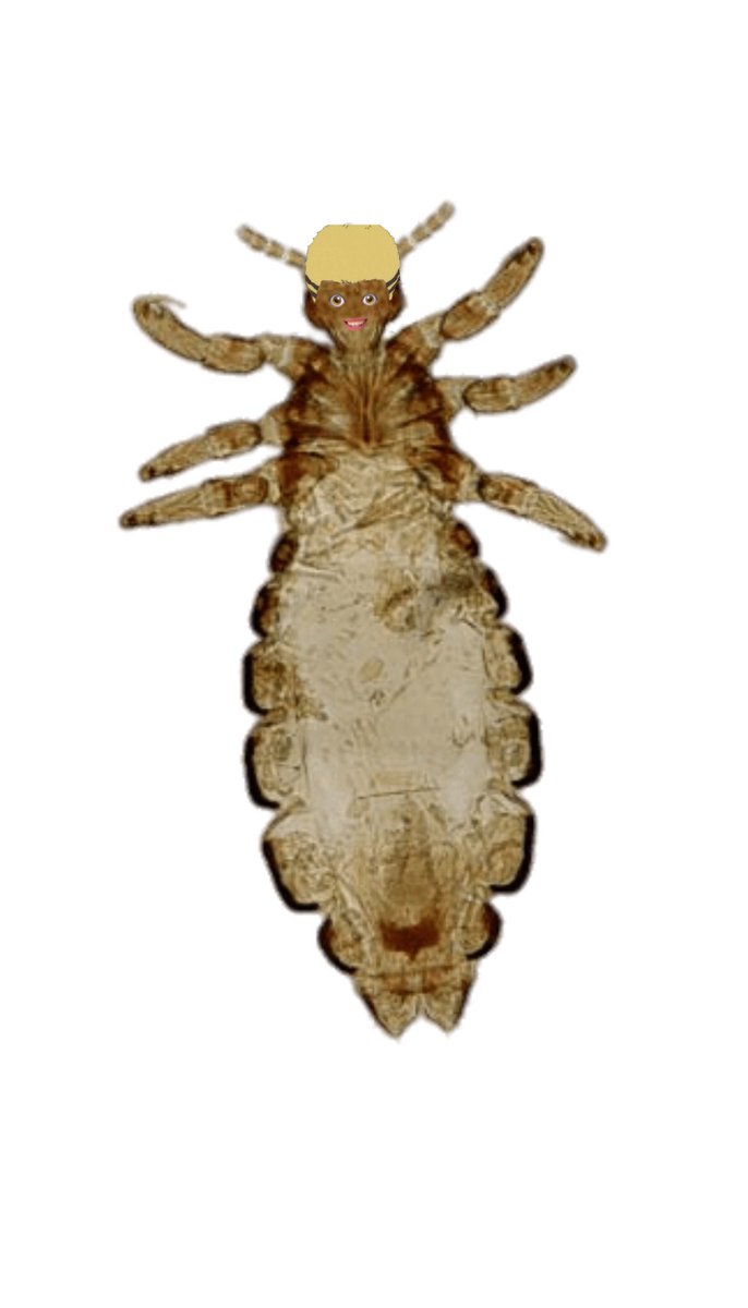 𝗄𝖾𝗇𝗄𝗎𝗍𝗈 𝗄𝗒𝗈𝗍𝖺𝗇𝗂