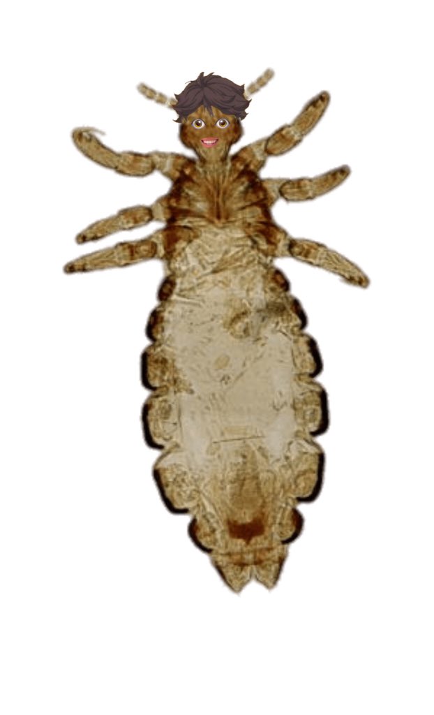 𝗈𝗂𝗄𝗎𝗍𝗈 𝗍𝗈𝗈𝗋𝗎