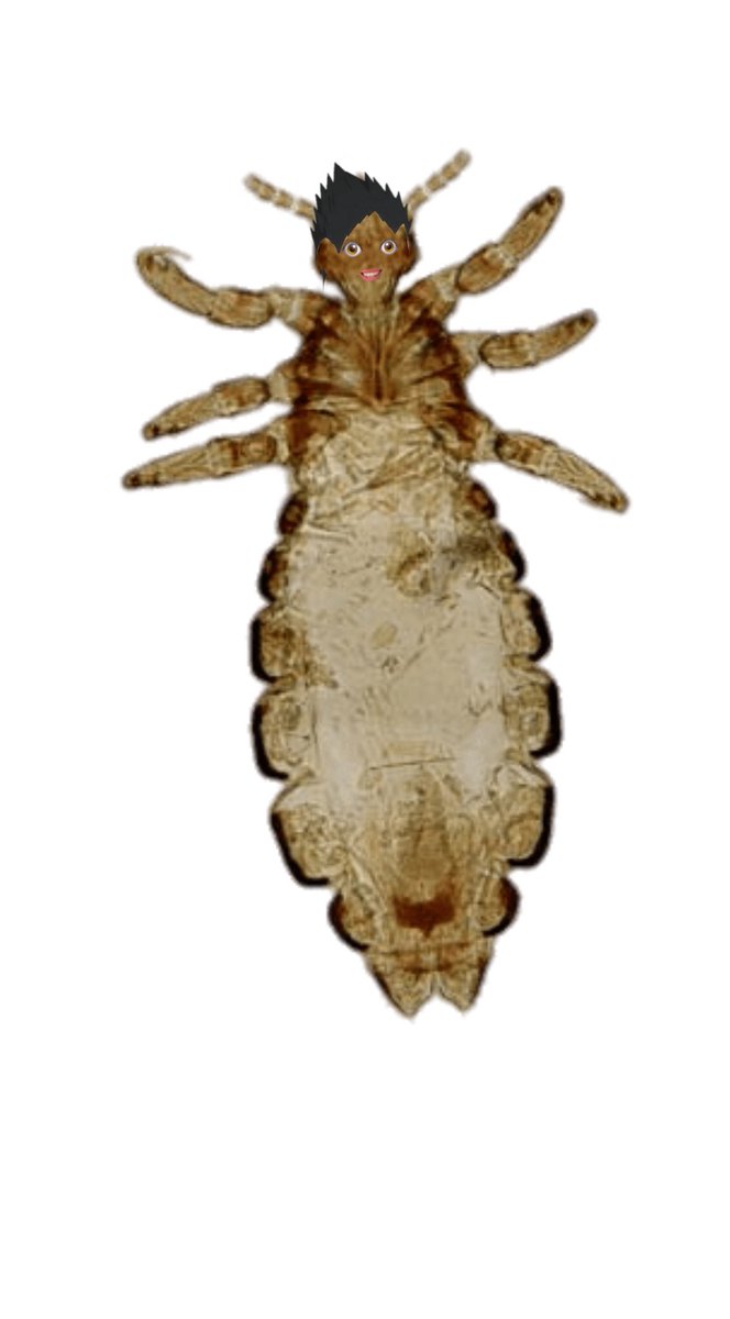 𝗄𝗂𝗇𝖽𝖺𝗂𝖼𝗁𝗂 𝗄𝗎𝗍𝗈𝗋𝗈𝗎