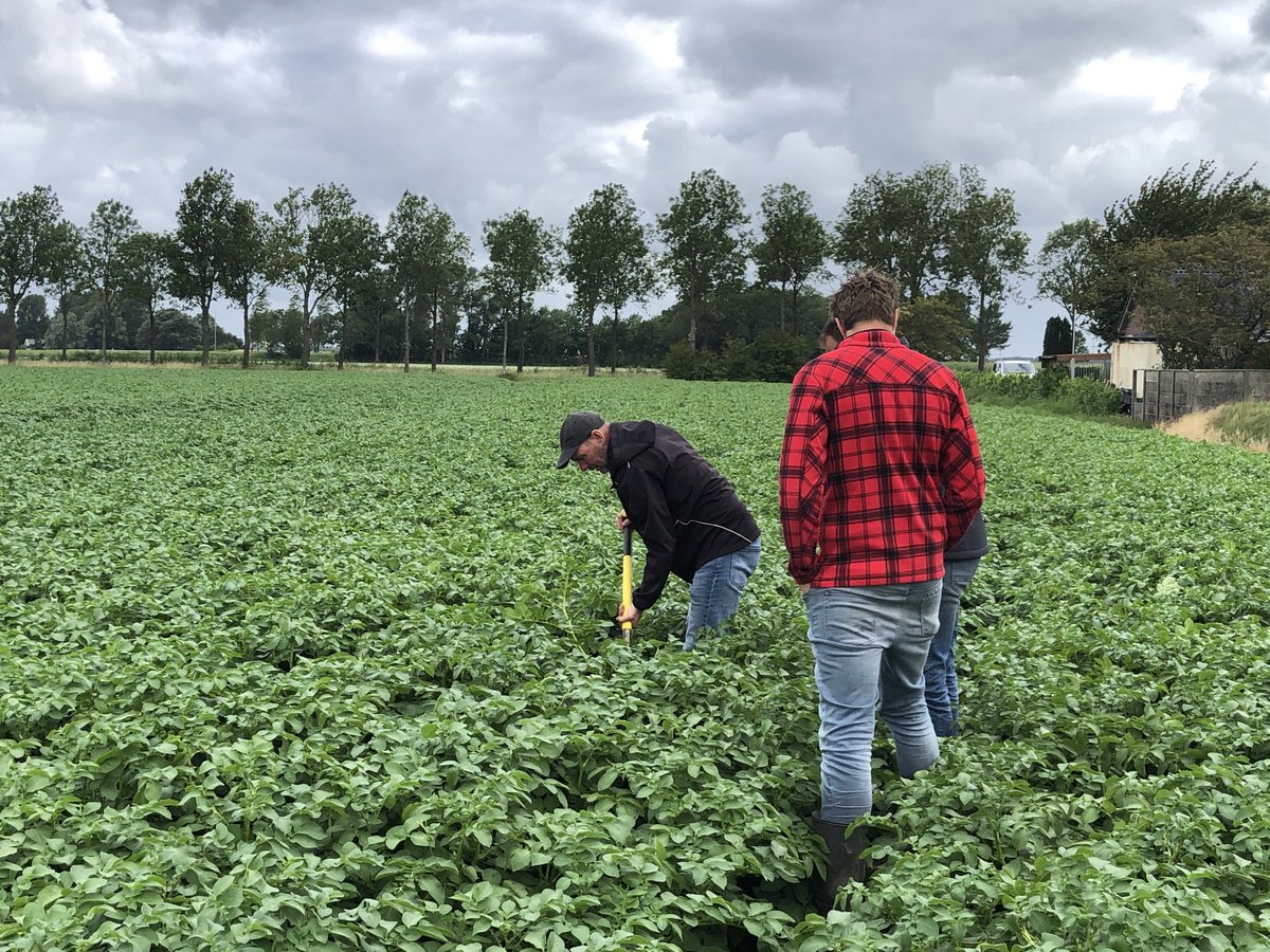 Vanochtend de shop in de grond met ⁦<a href="/ReneJochems/">René Jochems</a>⁩ ⁦⁦<a href="/ProjectenLTON/">Projecten LTO Noord</a>⁩ ⁦<a href="/VKringloop/">Vruchtbare Kringloop</a>⁩  ⁦<a href="/zuid_holland/">Provincie Zuid-Holland</a>⁩ oa om discussie rondom #kringlooplandbouw KPIs met telers te bespreken
