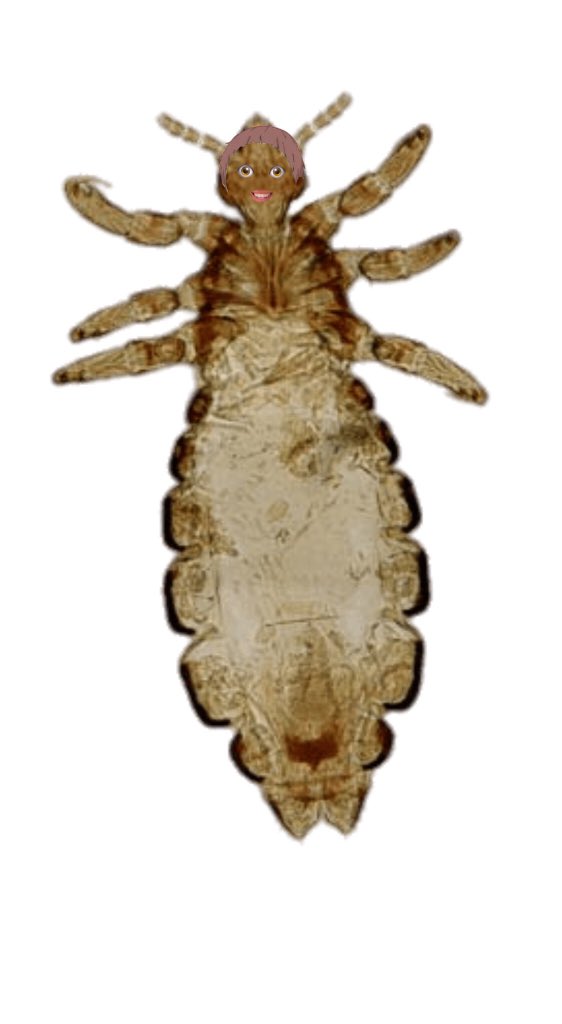 𝗁𝖺𝗇𝖺𝗆𝖺𝗄𝗂 𝗄𝗎𝗍𝗈𝗁𝗂𝗋𝗈