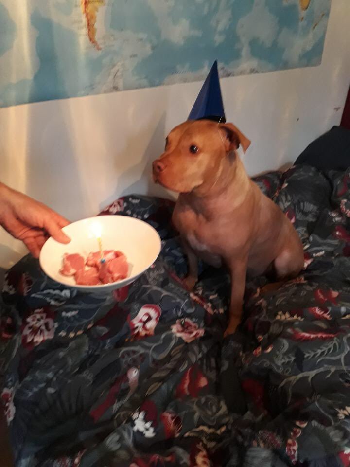 Dagens jubilar: Dror Feter 6 år.