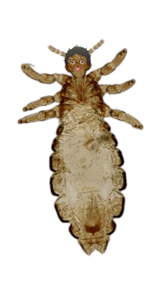 𝗆𝖺𝗍𝗌𝗎𝗄𝗎𝗍𝗈 𝗂𝗌𝗌𝖾𝗂