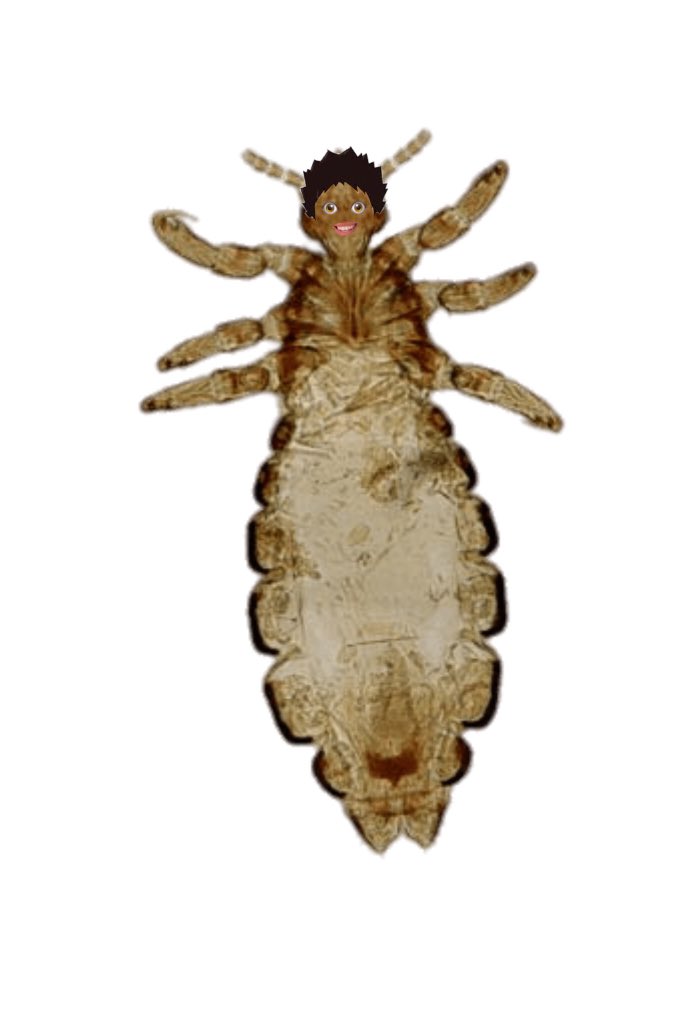 𝗄𝗎𝗍𝗈𝗓𝗎𝗆𝗂 𝗁𝖺𝗃𝗂𝗆𝖾