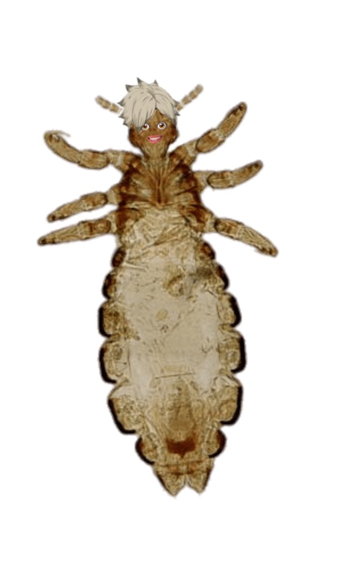 𝗌𝖾𝗆𝗂 𝗄𝗎𝗍𝗈