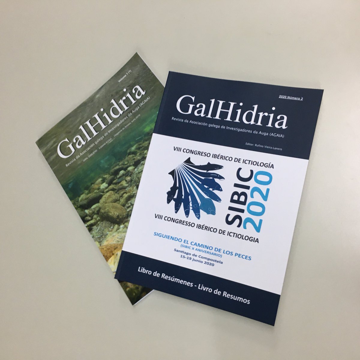 2020Sibic's tweet photo. Los resúmenes del #SIBIC2020 están publicados en el segundo volumen de GalHidria (AGAIA - Asociación Galega de Investigadores da Auga) 

Además los artículos que cumplan los estándares exigidos por la revista) se publicarán  en @HYDR_Springer https://t.co/Zb1Kmcvlkq