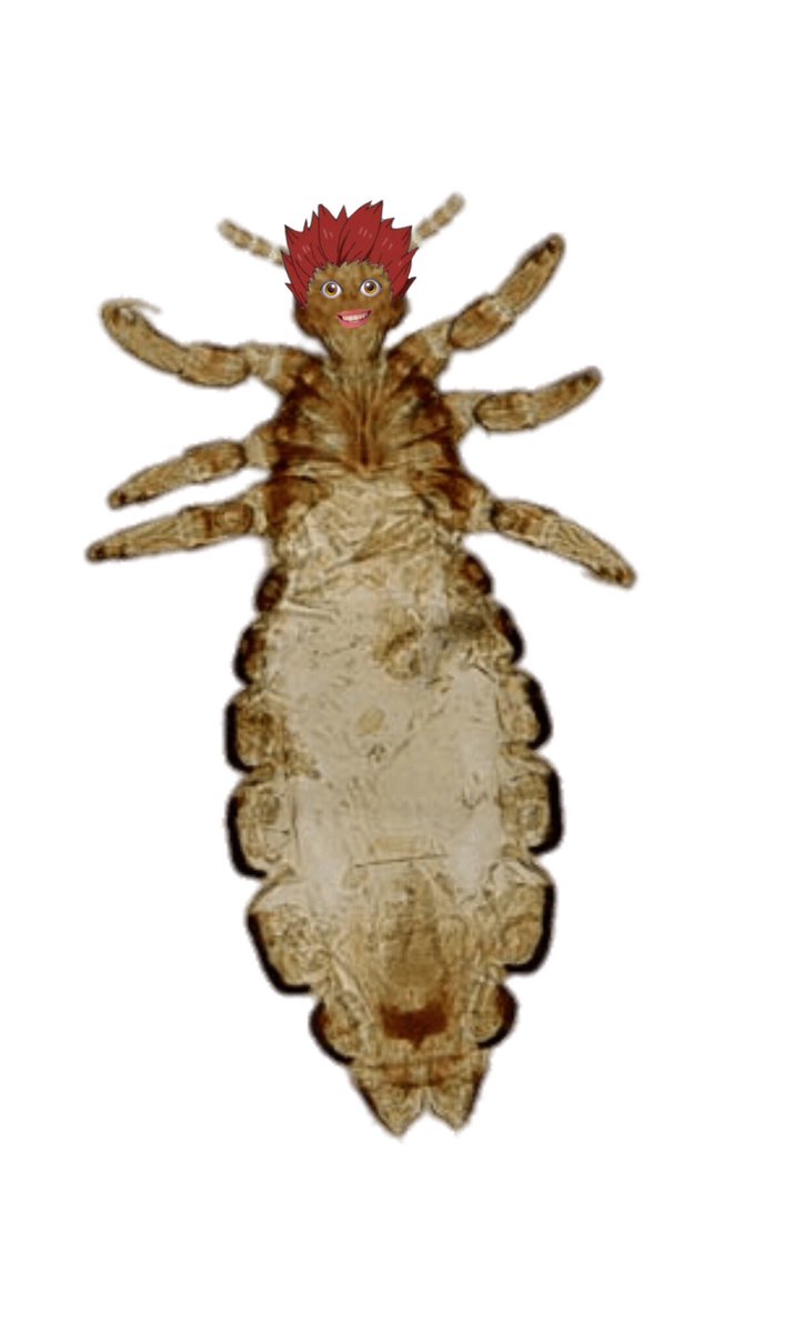 𝗄𝗎𝗍𝗈𝗎 𝗌𝖺𝗍𝗈𝗋𝗂