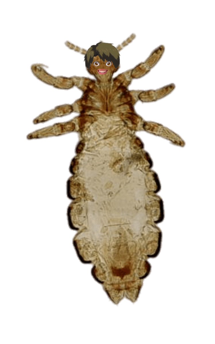 𝗄𝗎𝗍𝗈𝗃𝗂𝗆𝖺 𝗐𝖺𝗄𝖺𝗍𝗈𝗌𝗁𝗂