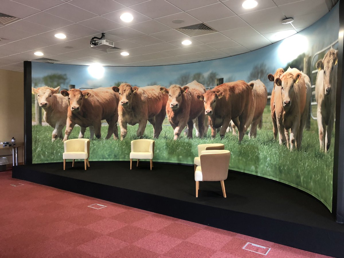 ajwwoods's tweet photo. It all kicks off today. Delighted to be partnering with @teagasc to deliver the @TeagascBeef virtual beef week 2020. Tune in to https://t.co/B58bv2SqtV at 12pm to check out @farmersjournal first episode on suckler beef production.We’ll talk Derrypatrick, health issues and figures https://t.co/VKUzzsFzTY