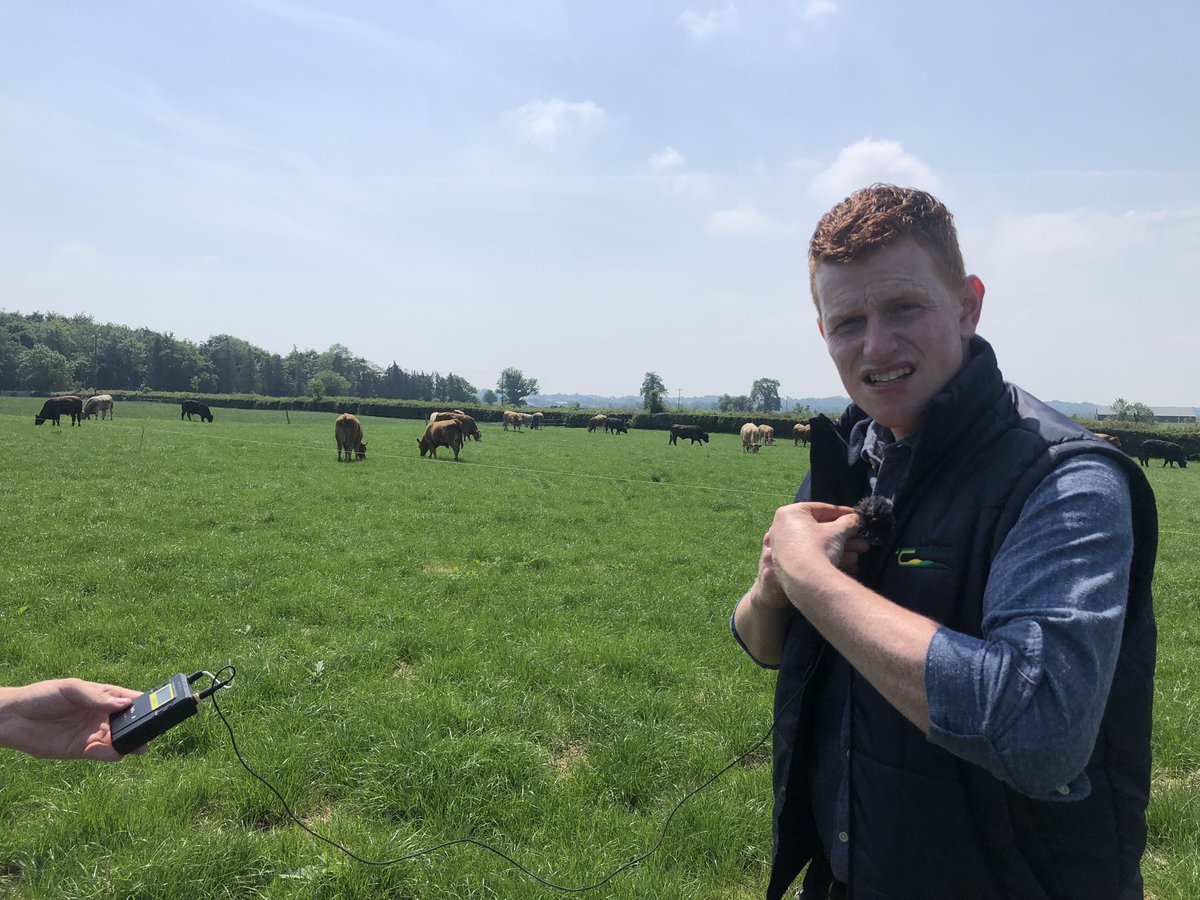 ajwwoods's tweet photo. It all kicks off today. Delighted to be partnering with @teagasc to deliver the @TeagascBeef virtual beef week 2020. Tune in to https://t.co/B58bv2SqtV at 12pm to check out @farmersjournal first episode on suckler beef production.We’ll talk Derrypatrick, health issues and figures https://t.co/VKUzzsFzTY