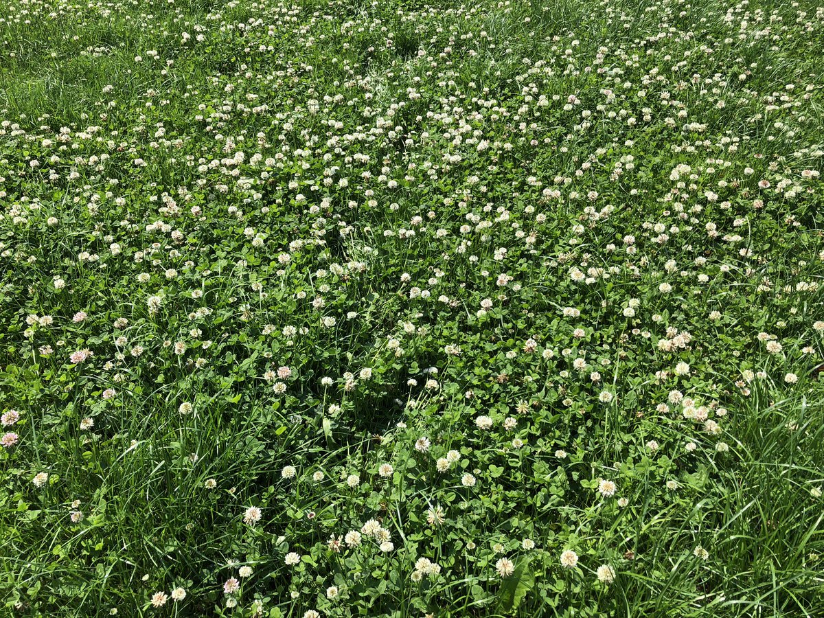 It all kicks off today. Delighted to be partnering with <a href="/teagasc/">Teagasc</a> to deliver the <a href="/TeagascBeef/">Teagasc Beef</a> virtual beef week 2020. Tune in to farmersjournal.ie at 12pm to check out <a href="/farmersjournal/">Irish Farmers Journal</a> first episode on suckler beef production.We’ll talk Derrypatrick, health issues and figures