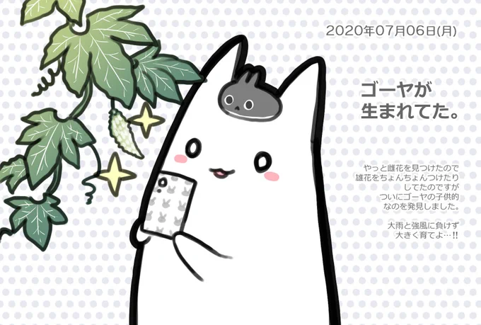 今日の絵日記です🍀
増えろ… 増えろ… 
