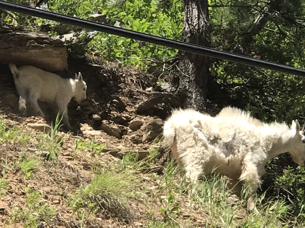 bud_copley's tweet photo. @MissSmallTown23 Awesome I was in Spearfish. Had a great week in South Dakota. Beautiful state https://t.co/V8xTFt2l14