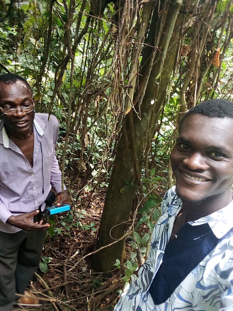 Prof Olubukunola Oyesiku has been has been really inspiring in my  #BlackBotanicalLegacy. Leading 138 students through the forest to observe the diversity of cryptogams and their habitat for a Plant Diversity module, ogun Nigeria
