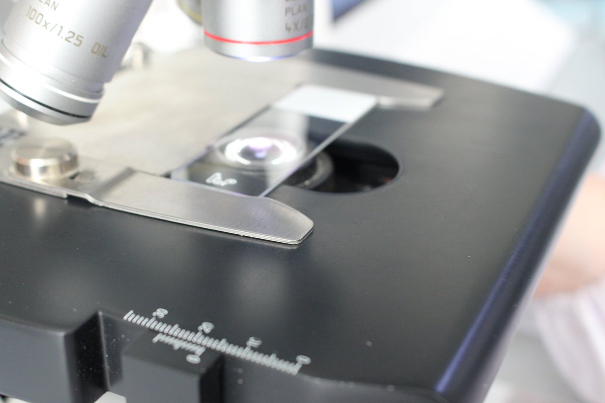 mevidscience's tweet photo. The MeVid TwinFrost microscope slides with double-frosting design delivers a considerable workload reduction over the single frosted slides by offering a random operation.
#Microscopeslide #histopathology #microscopeslides
☎️+86513-82248886
🖥️https://t.co/AzMqGrBr7b https://t.co/073CFPEMAG