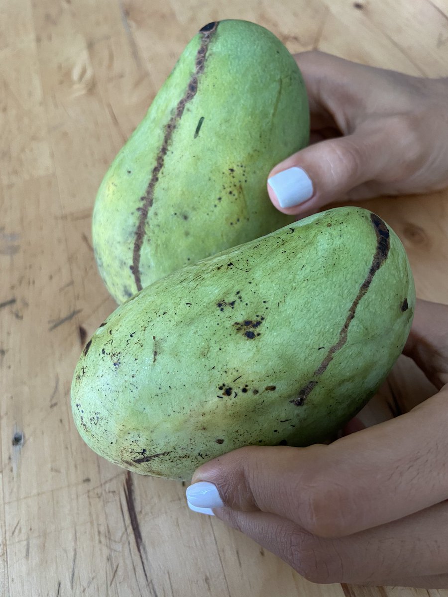 Chok anun freckled and scarred. The long battle wounds are streaks from the mango sap that oozes after cutting. Eaten both when green or yellow, & not too fibrous.