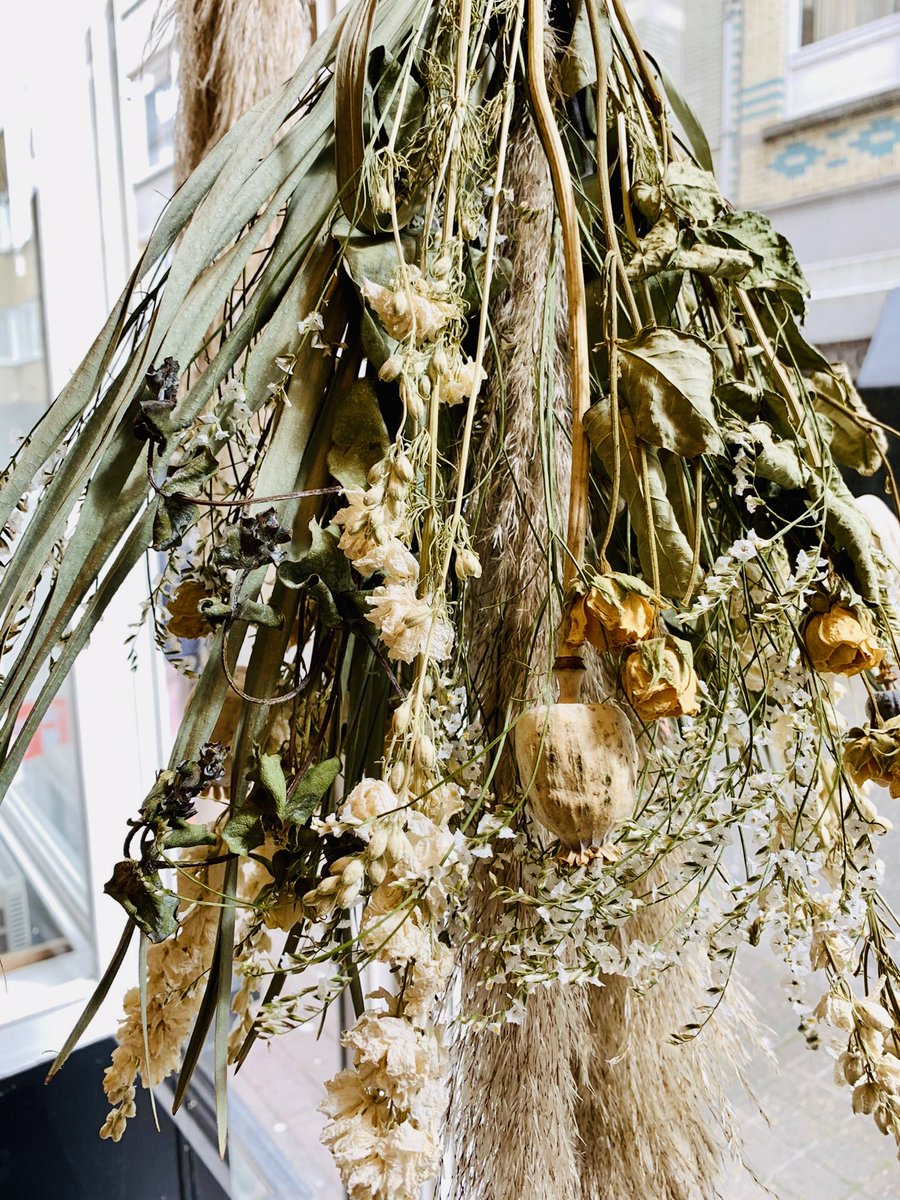 FleurLies's tweet photo. Wij mochten de etalage van kapsalon Quoi-Furie versieren😍Wil je zelf ook zo'n mooi boeket in huis? Dat treft! Want schuin tegenover de zaak ligt onze cityshop Greenlover waar je deze mooie creaties kunt kopen, spring gerust eens binnen🙋‍♀️#fleurdelies #kapsalon #b2b #project https://t.co/l18ijziayL