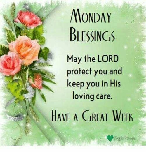 MiAbeck13's tweet photo. @Karrasamelia5 @BillBeam1 @wwoodward921 @AskmoreNorman @IfYouAintCav08 @Barb71 @nwzchic @thelastmilehome @HarrellRyan1 @brian_abettera @Ginger4EverMe @gingerzsnapped @77HippyChk @ThewardmomCindy @Forbespaula @TwistedOne96 @DDog1958 @dparkbaer1230 @dontcavitate Good morning... https://t.co/AMUQ2E6DmV