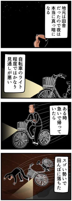 田舎の夜あるある(?)でござる 