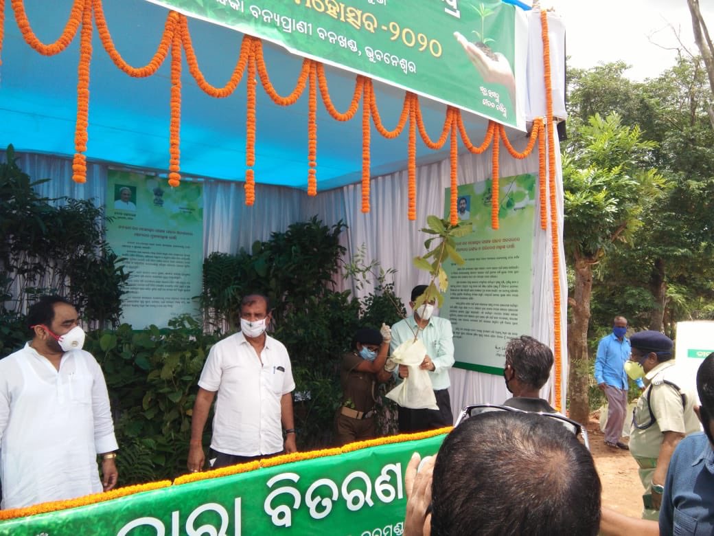 #SabujaOdisha Celebration of 71 State level  #VanMahotsav in presence of Hon’ble Minister Forests, Hon’ble Minister S& T, ACS Forests & other senior officials at Silviculture Garden, Ghatkia within all COVID guidelines...flagging of plantations Vans & kiosk by Hon’ble Minister.