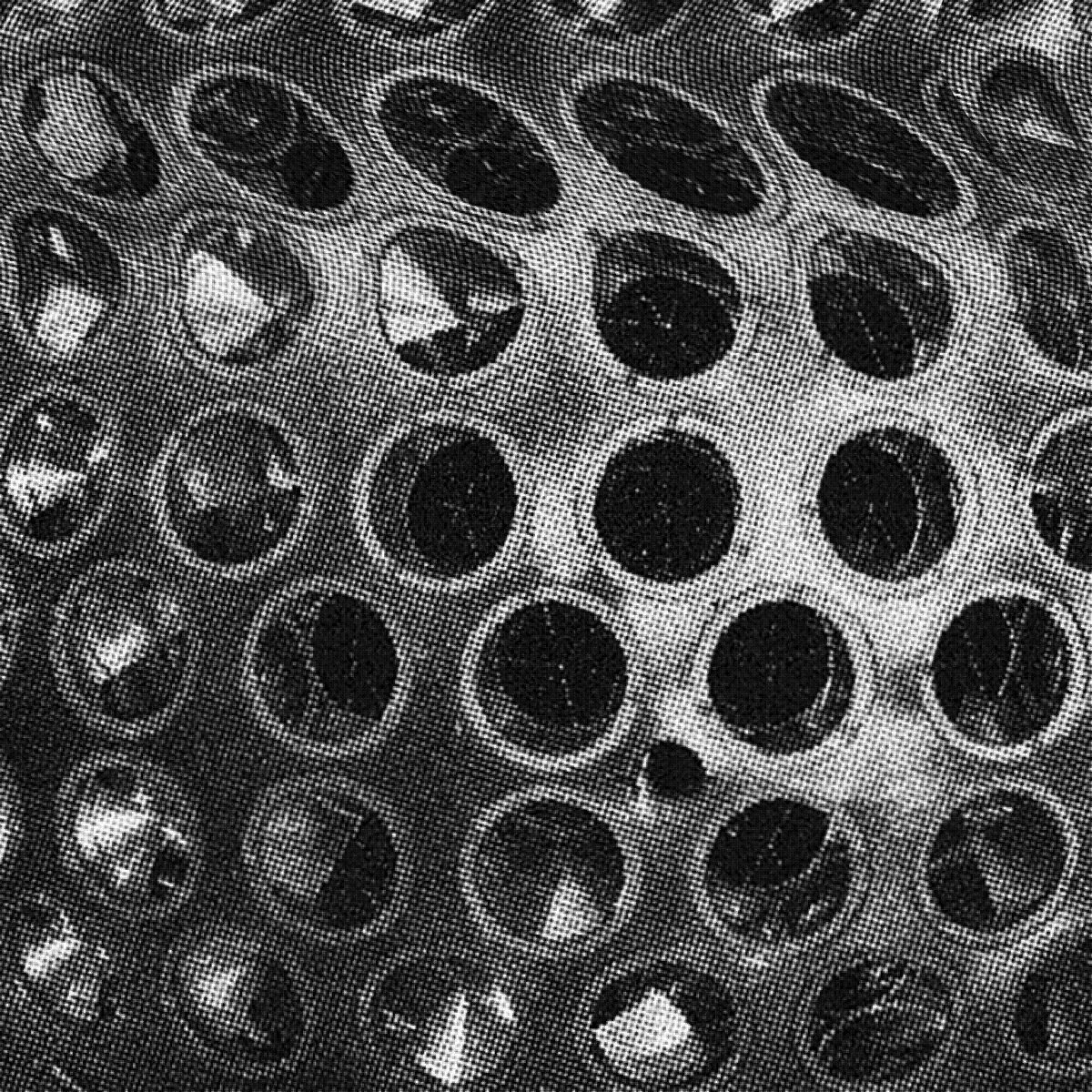 archillect's tweet photo. https://t.co/KBjt3QLxt7