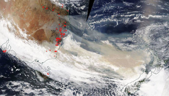 The smoke - remember the smoke? And the wildlife impacts too - both unprecedented and incredibly impactful.  https://www.sciencedirect.com/science/article/pii/S2666449620300098